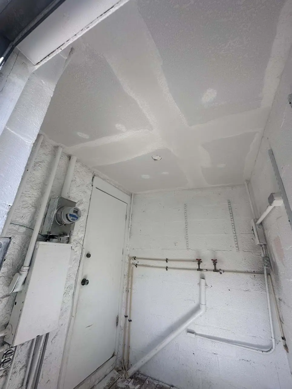 Ceiling Paint in Fort Myers
